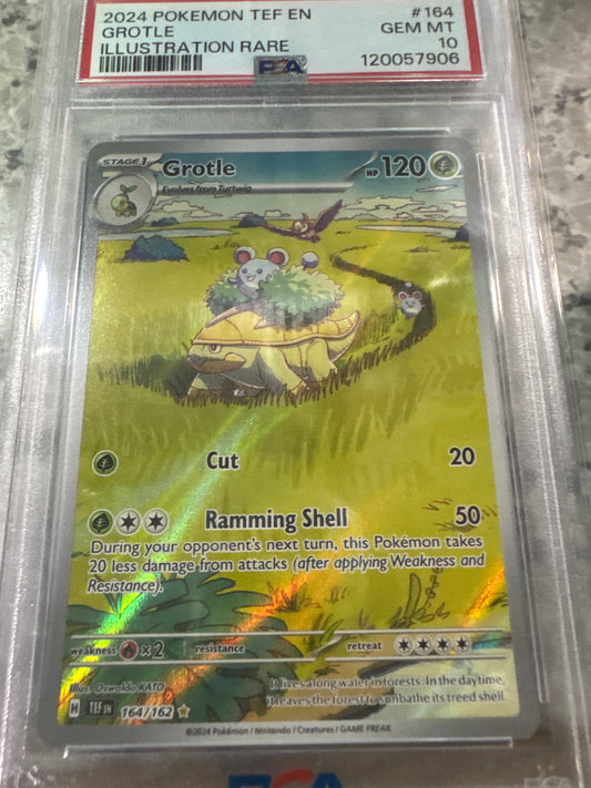 Pokemon Grotle 164/162 PSA 10