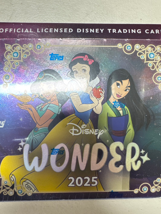 2025 Disney Wonder Hobby