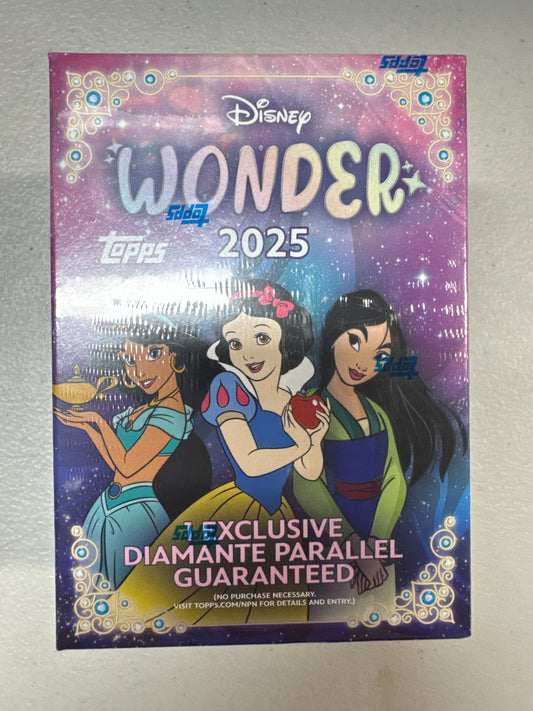 2025 Disney Wonder Blaster
