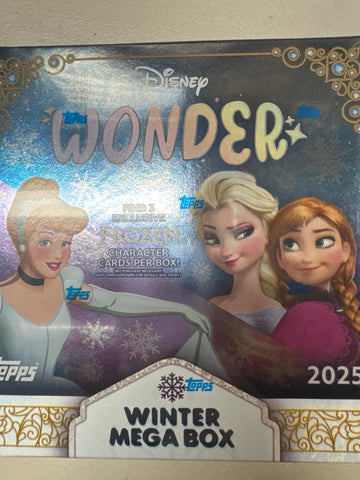 2025 Disney Wonder Winter Mega