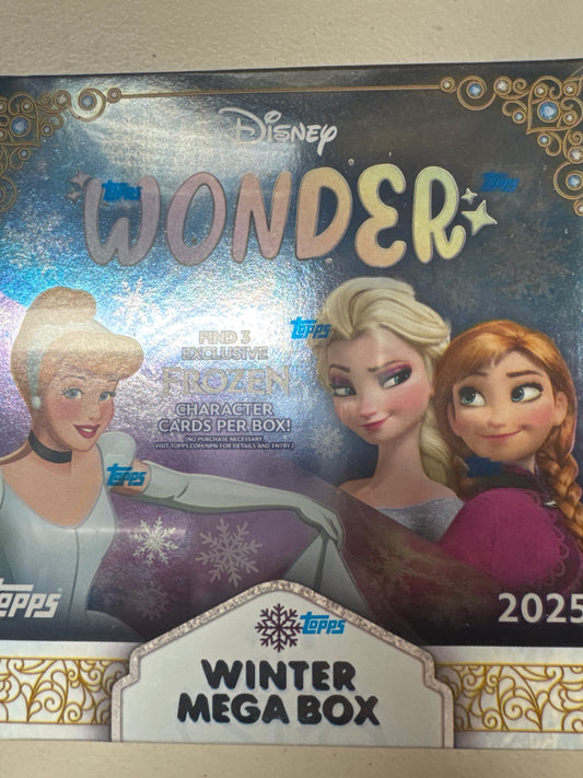 2025 Disney Wonder Winter Mega