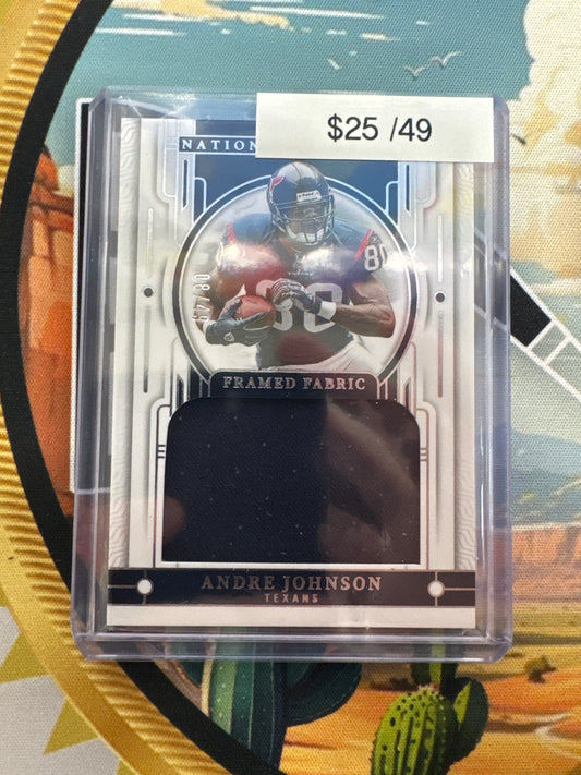 2023 Panini National Treasures Andre Johnson Framed Fabric /49