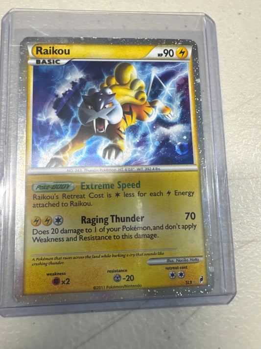Pokemon Raikou SL9 Call of Legends HP