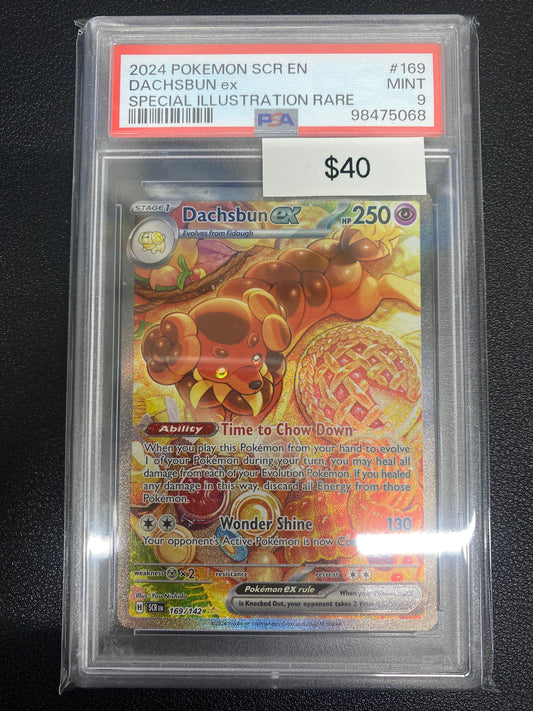 Pokémon Dachsbun ex Special Illustration Rare Stellar Crown 169/142 PSA 9