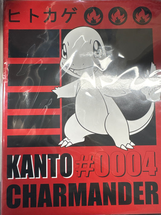 Pokemon Charmander Kanto 9 pocket portfolio binder
