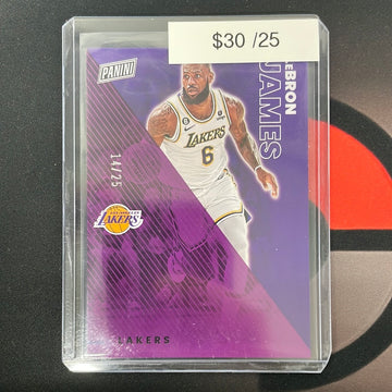 2023 NBA Lebron James Panini Fathers Day /25