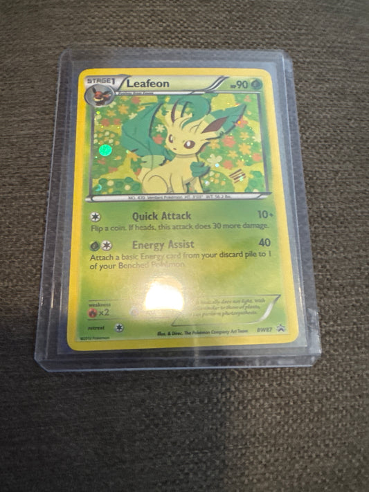 Pokémon Leafeon Promo Holo BW87 DM