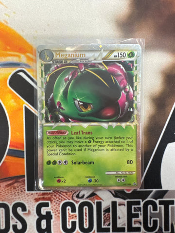 Pokémon Meganium Promo HGSS08 MP
