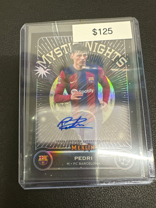 2024 Merlin Pedri Mystic Nights auto