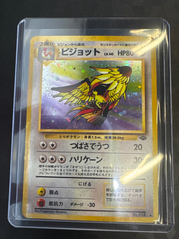 Pokemon Japanese Pidgeot No. 018 Jungle