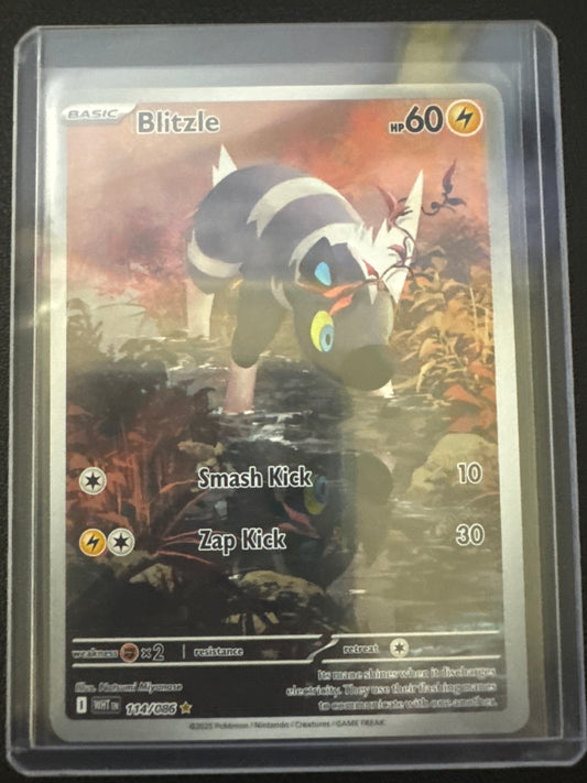 Pokemon Blitzle 114/086 White Flare