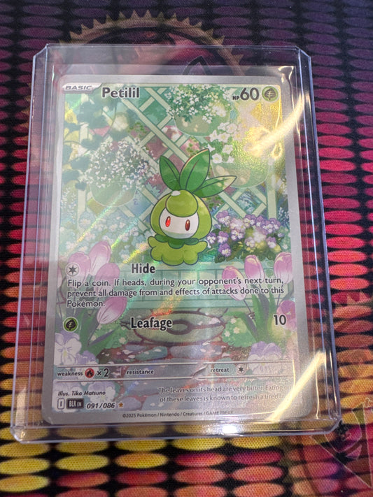 Pokemon Petilil 091/086 Black Bolt