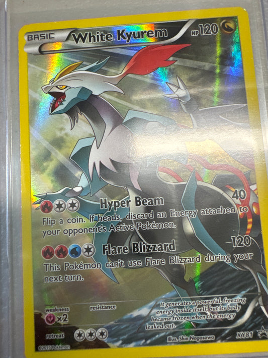 Pokémon White Kyurem XY81