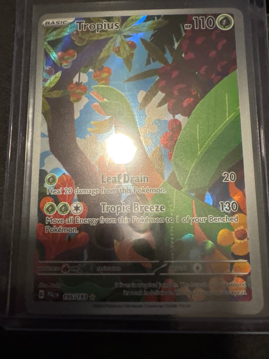 Pokemon Tropius 195/193 Paldea Evolved