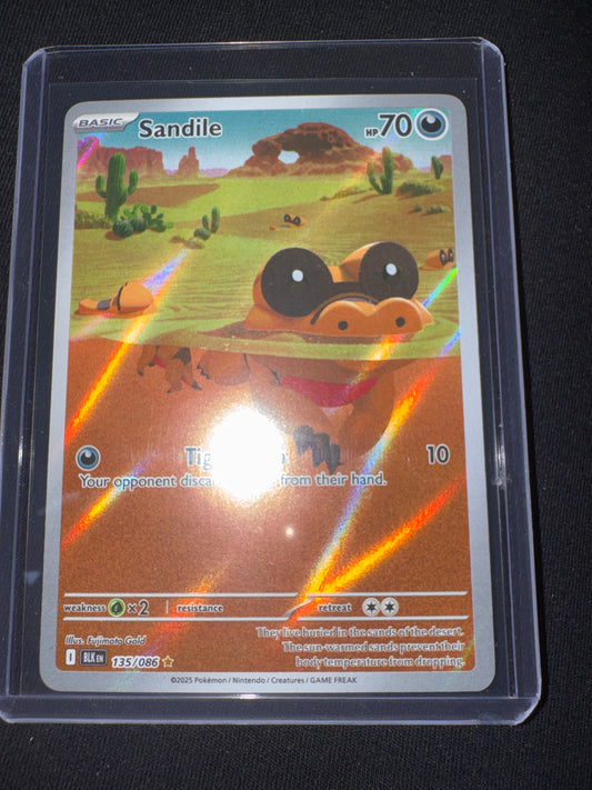 Pokemon Sandile 135/086 Black Bolt
