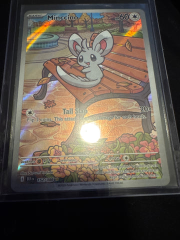 Pokemon Minccino 152/086 Black Bolt