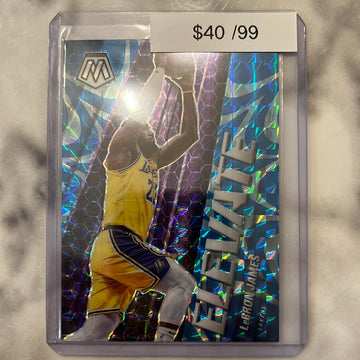 2020-21 Mosaic Elevate LeBron James /99